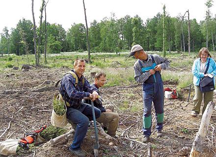 Polackerna som planterar ny skog i Småland efter orkanen Gudruns framfart i januari förra året. Kizysztof Nita, Mirostow Nita och Lukosz Ryszka jobbar hårt sex dagar i veckan under två sommarmånader.