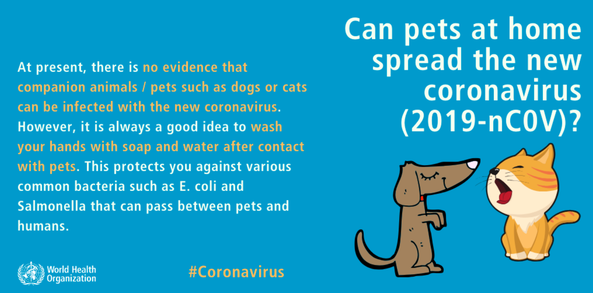 Husdjur kan inte sprida coronaviruset.