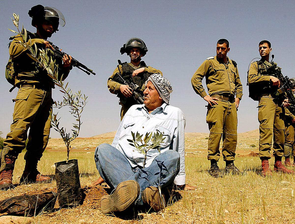 BJUDER IN En palestinsk bonde protesterar mot att Israel tagit över mark på Västbanken genom att plantera olivträd.