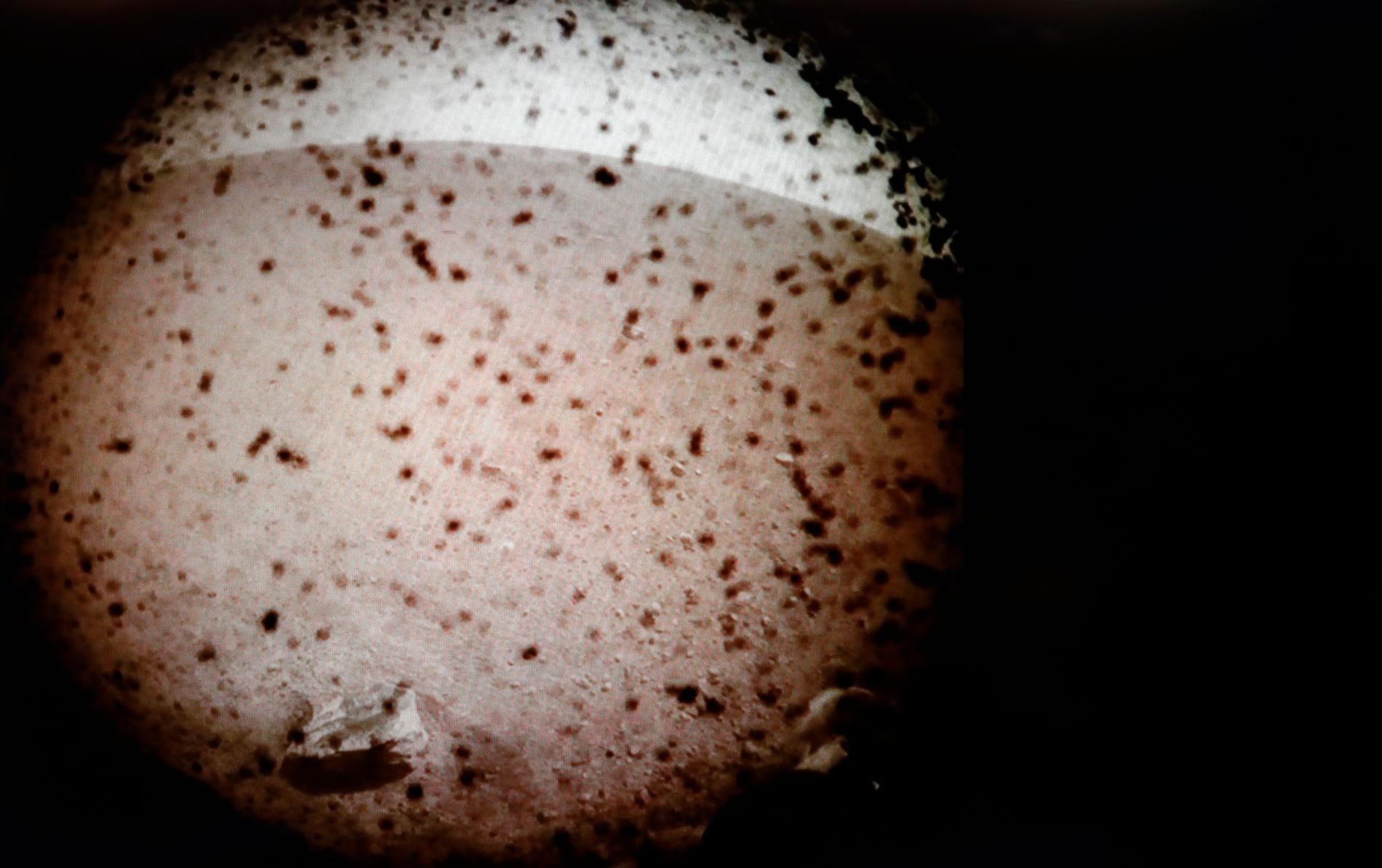 Den första bilden från Mars som skickats från InSight.