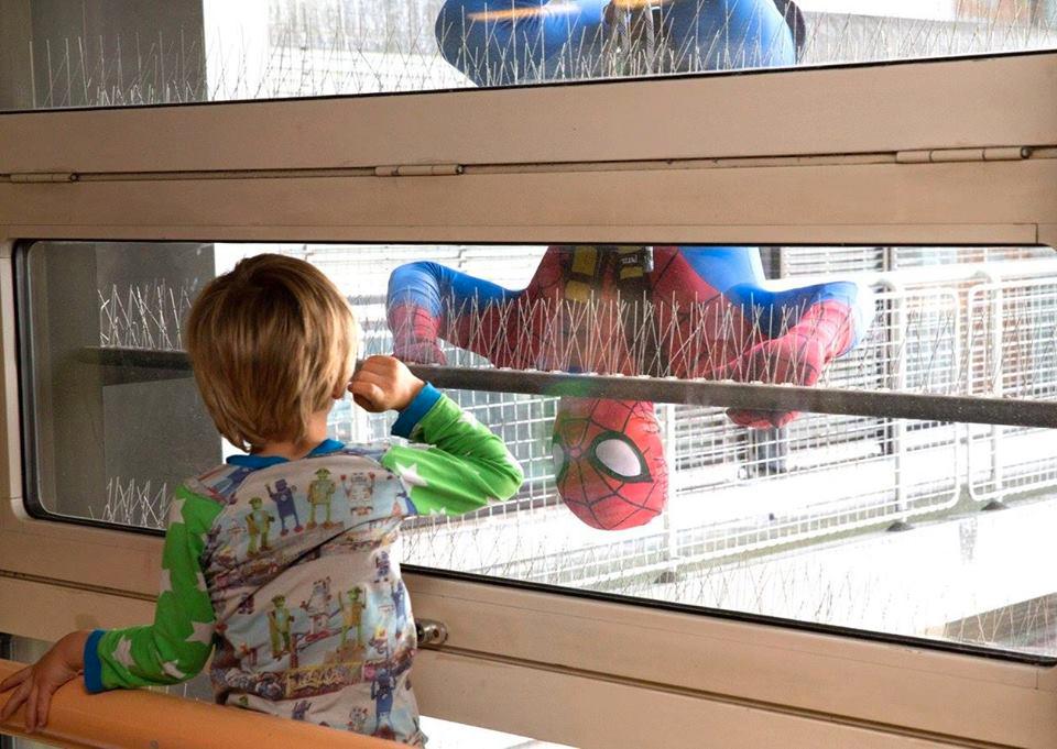 Plötsligt hände Spindelmannen utanför fönstret på 20:e våningen.