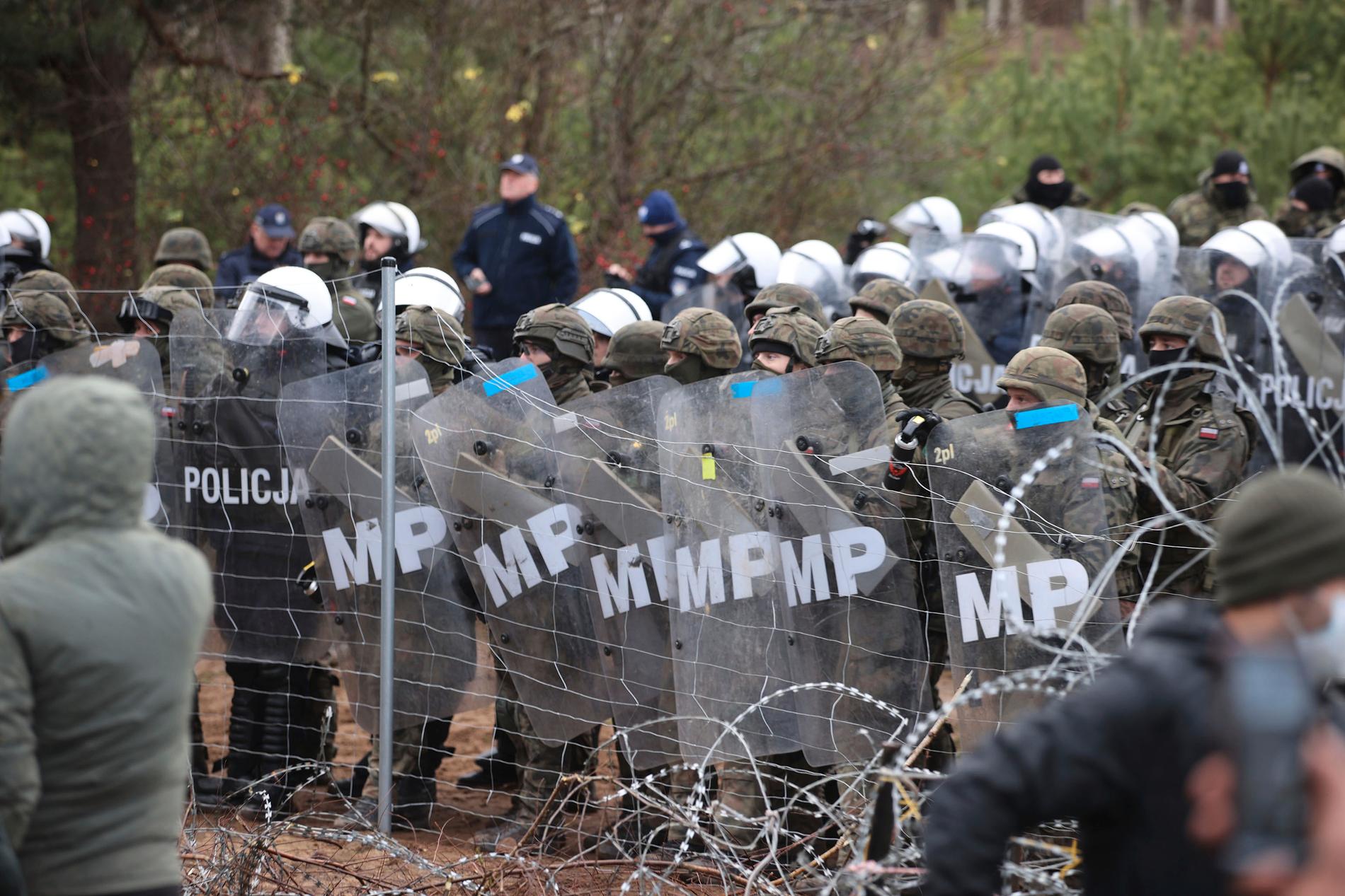 Polsk polis och militär på vakt vid den polska gränsen. Ytterligare 4 000 migranter uppges ha samlats där under senaste dygnet. Under natten mot tisdagen förde belarusiska soldater dessutom över 500 migranter till Litauens gräns – och uppmanade dem att ta sig över. 