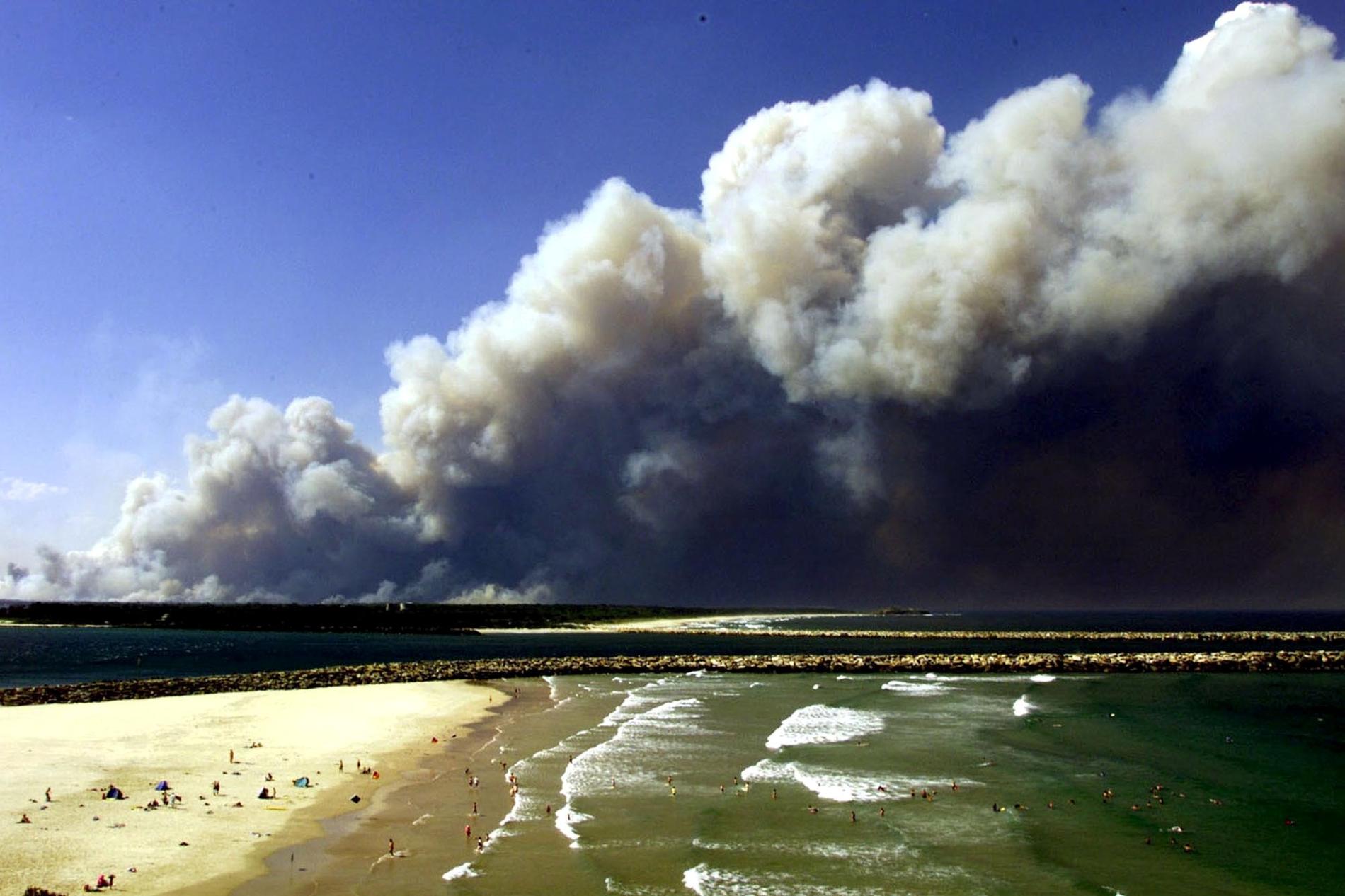 Brandröken förmörkade himlen över New South Wales, bild tagen i slutet på december.