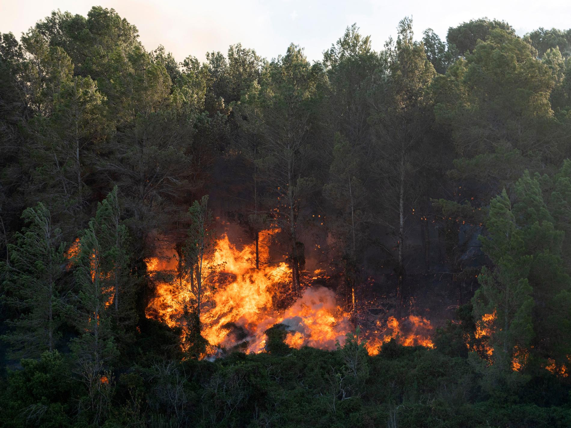 Hundratal evakuerade för skogsbrand i Spanien