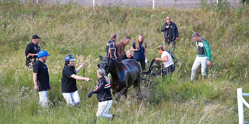 Efter fyra försök kunde hästen dras upp ur leran: ”Det var supersnällt av alla som hjälpte till, bland annat Jörgen Westholm, Oskar Kylin-Blom och en civilklädd Markus Pihlström”.