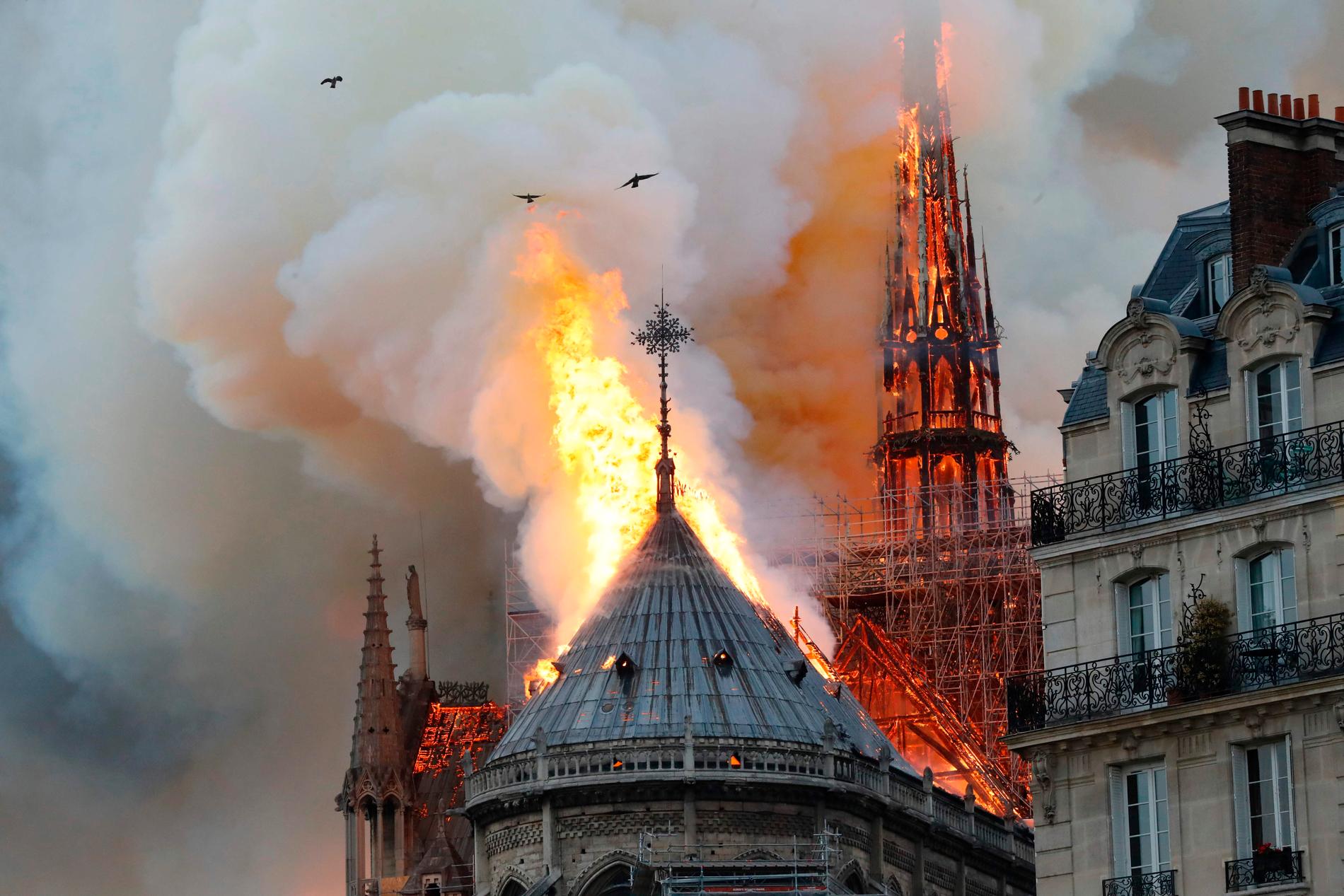Rök och lågor slår ut från Pariskatedralen Notre-Dame som brann på måndagskvällen.