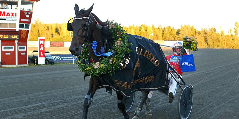 Hans-Owe Sundberg och en av sina bästa hästar genom karriären, Charrua Forlan, som tjänade 4,2 miljoner. 