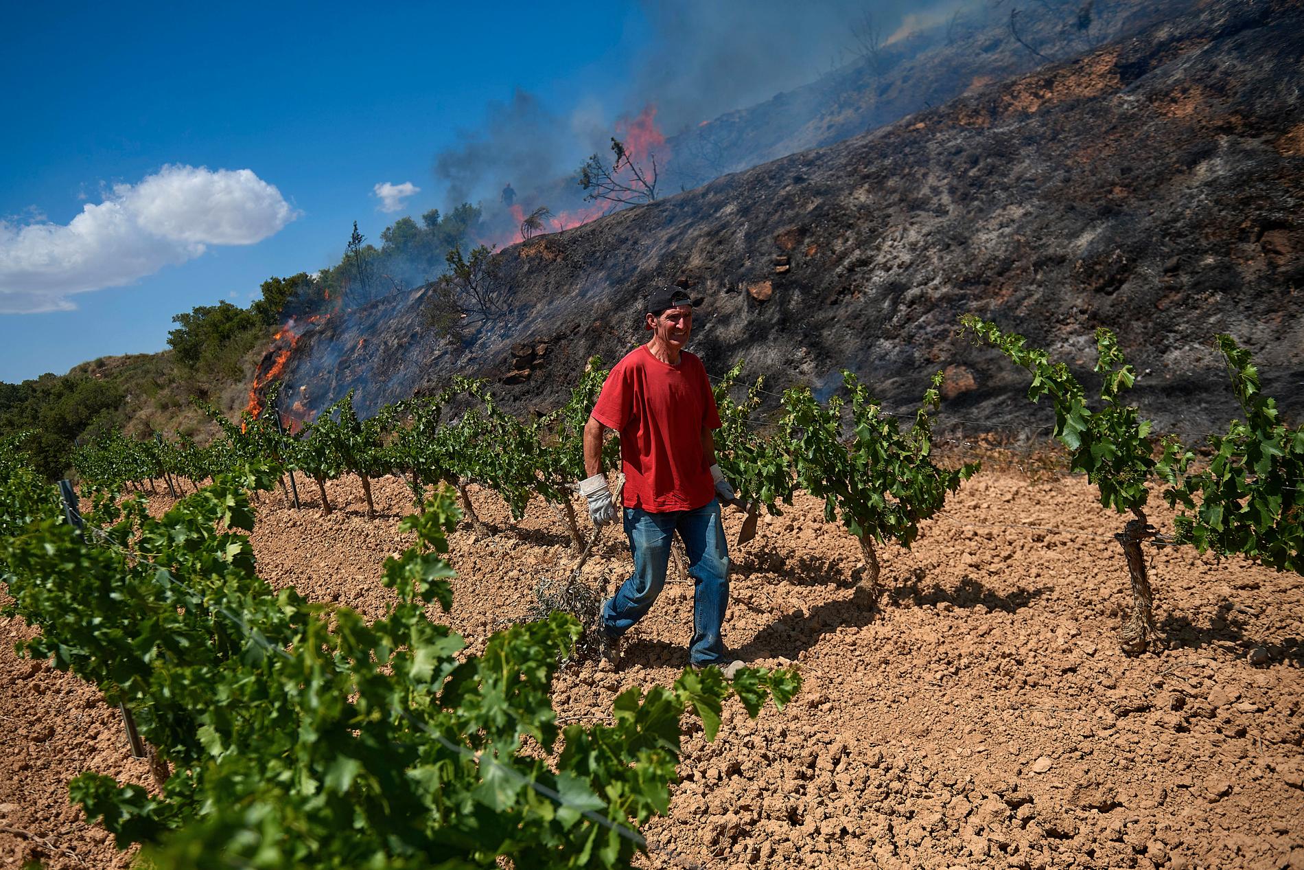 Den ovanliga värmeböljan orsakar flera bränder i södra Europa.