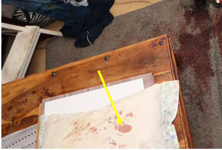 En pizzakartong låg under en blodig kudde i lägenheten. 