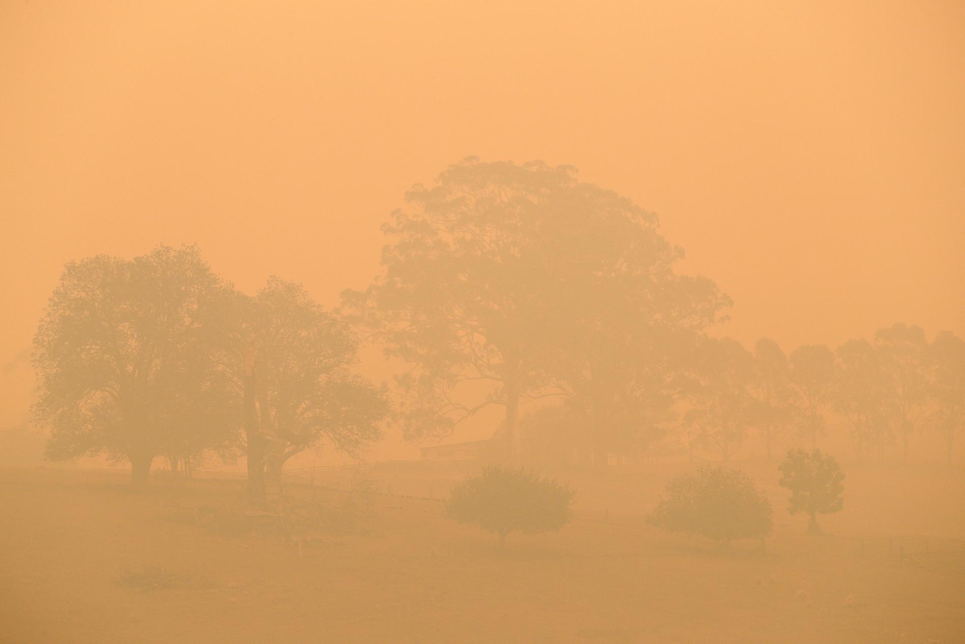 Brandröken ligger tung över delar av Australien. Bilden är tagen nära Burragate den 11 januari.