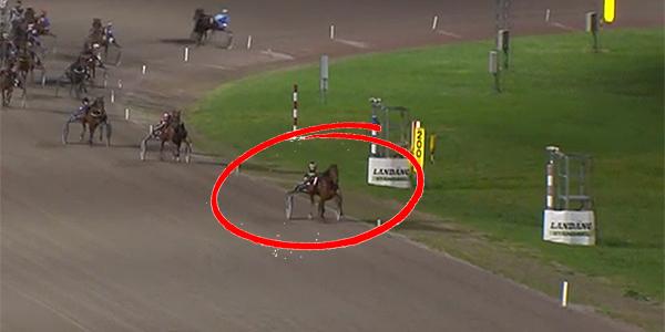 Nouba Mom vann överlägset i Sverigedebuten. Nu spikas hästen på V75.