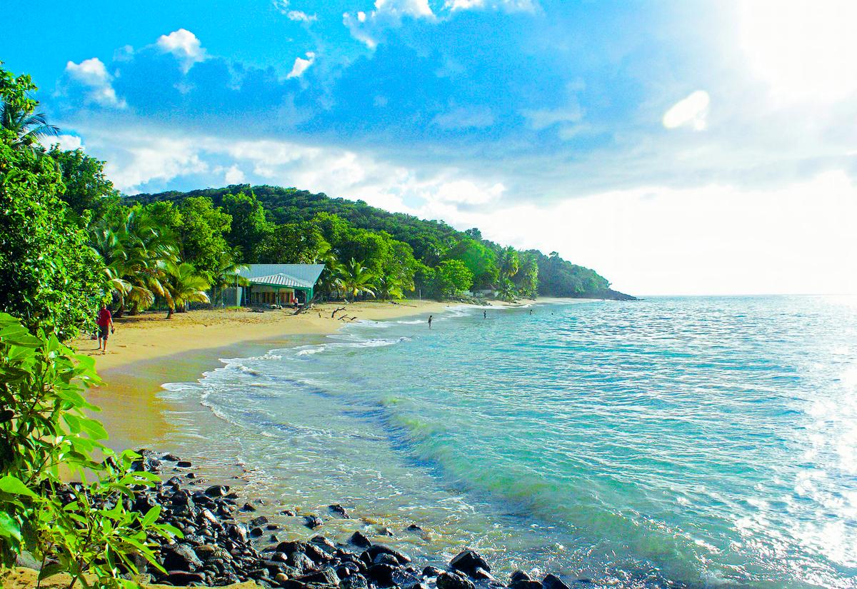 Landa på en ny strand i vinter! Guadeloupe är en av de hetaste charterresemålen den här säsongen. Utanför Langley Travels hotel Fort Royal breder en härlig sandstrand ut sig.