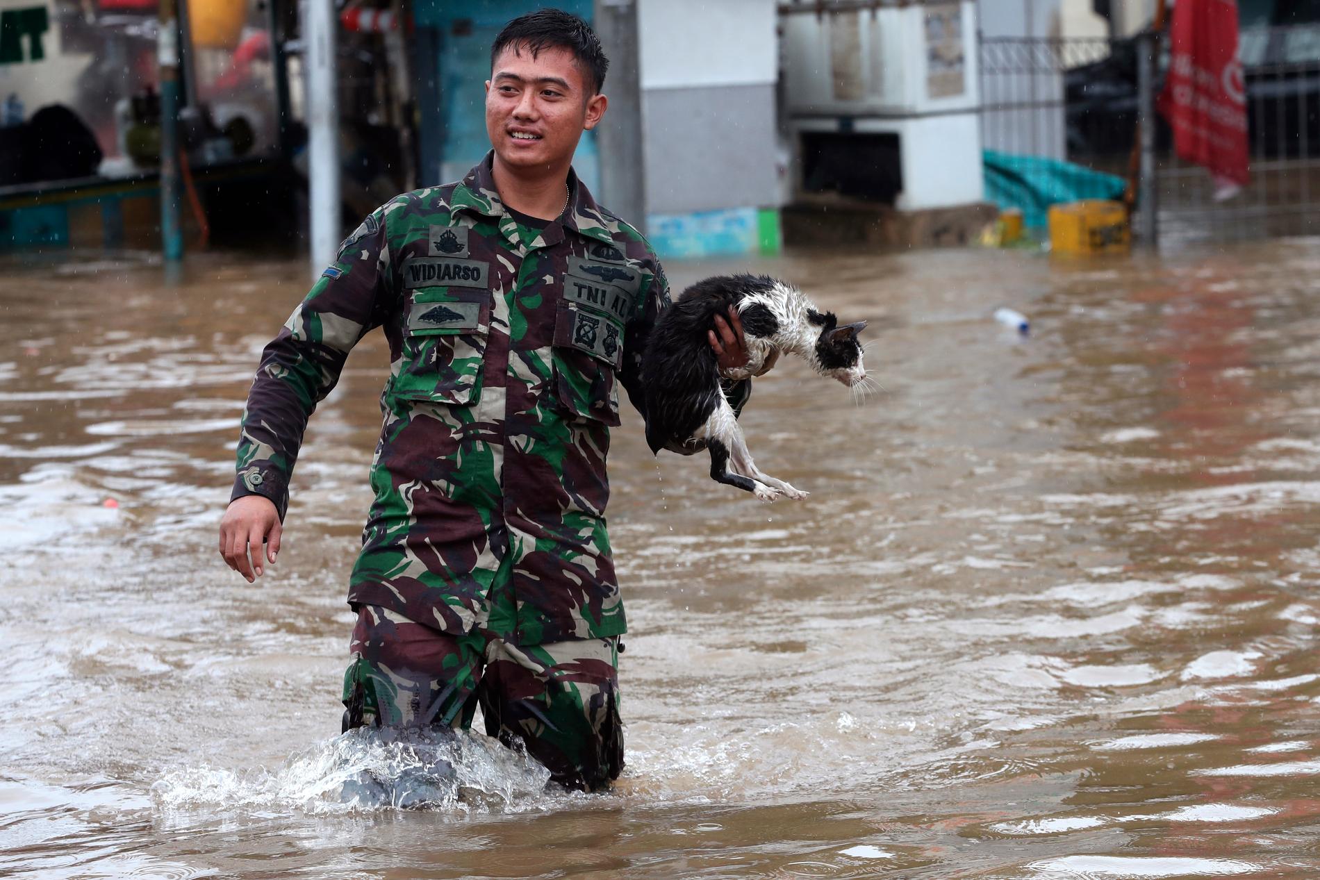 En indonesisk soldat håller en katt när han tar sig genom vattnet i Jatibening i utkanten av Jakarta. Bild från nyårsdagen.