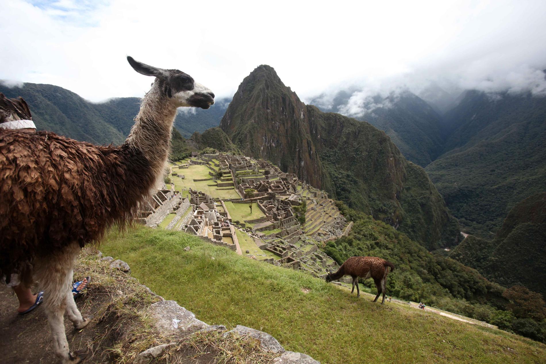 3. Machu Picchu, Peru Den gamla Inkastaden från 1400-talet låg gömd och bortglömd i över 500 år, innan den återupptäcktes 1911. Förr var den ett slutmål för pilgrimer, numera är den ett populärt turistmål. Upptagen på Unescos världsarvslista.
Missa inte: Att vandra Inkaleden till Machu Picchu. Flyg till Peru!
