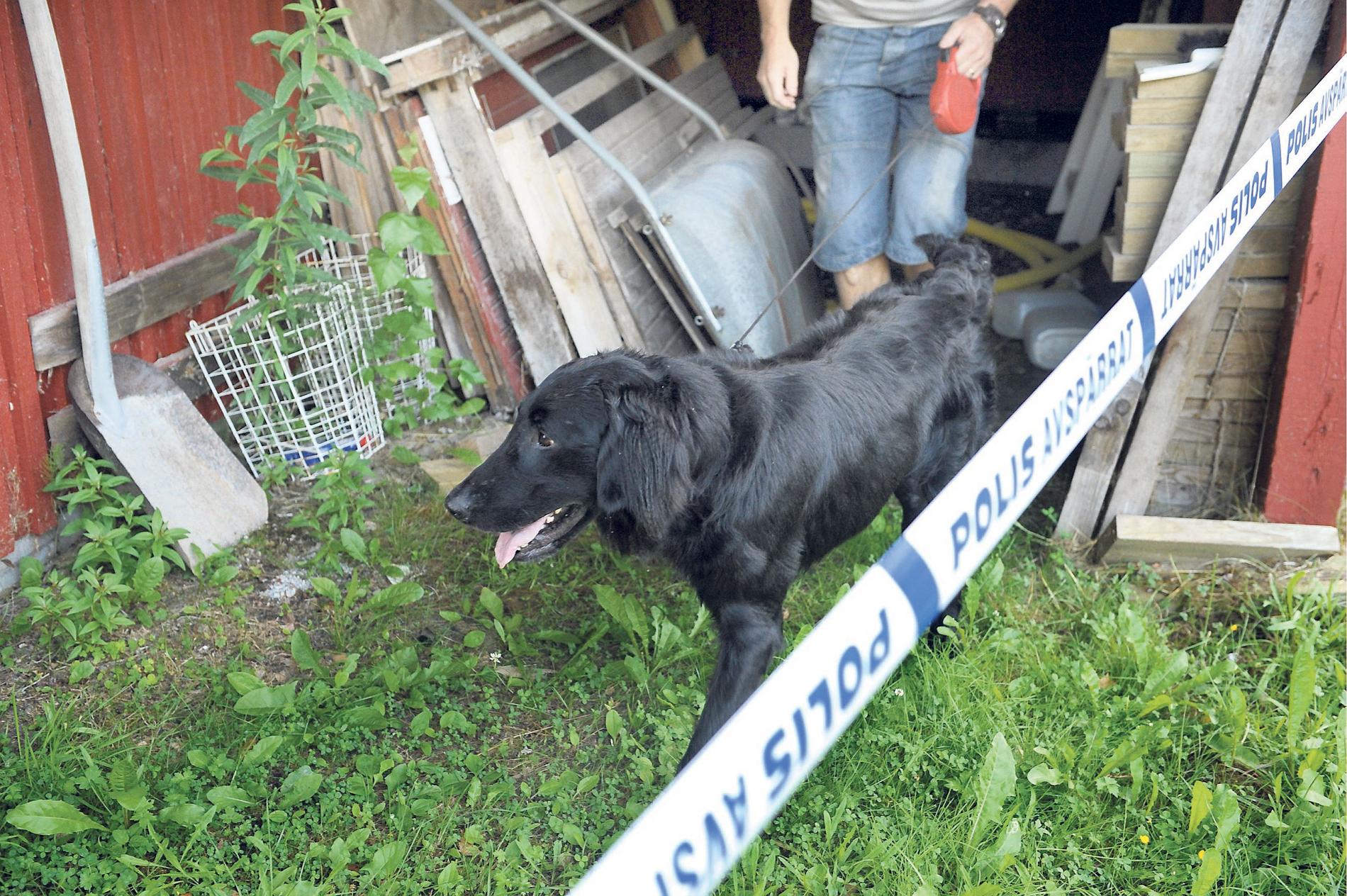 Jagar ledtrådar Poliser genomsökte Marina Johanssons hus med hjälp av en specialtränad hund.