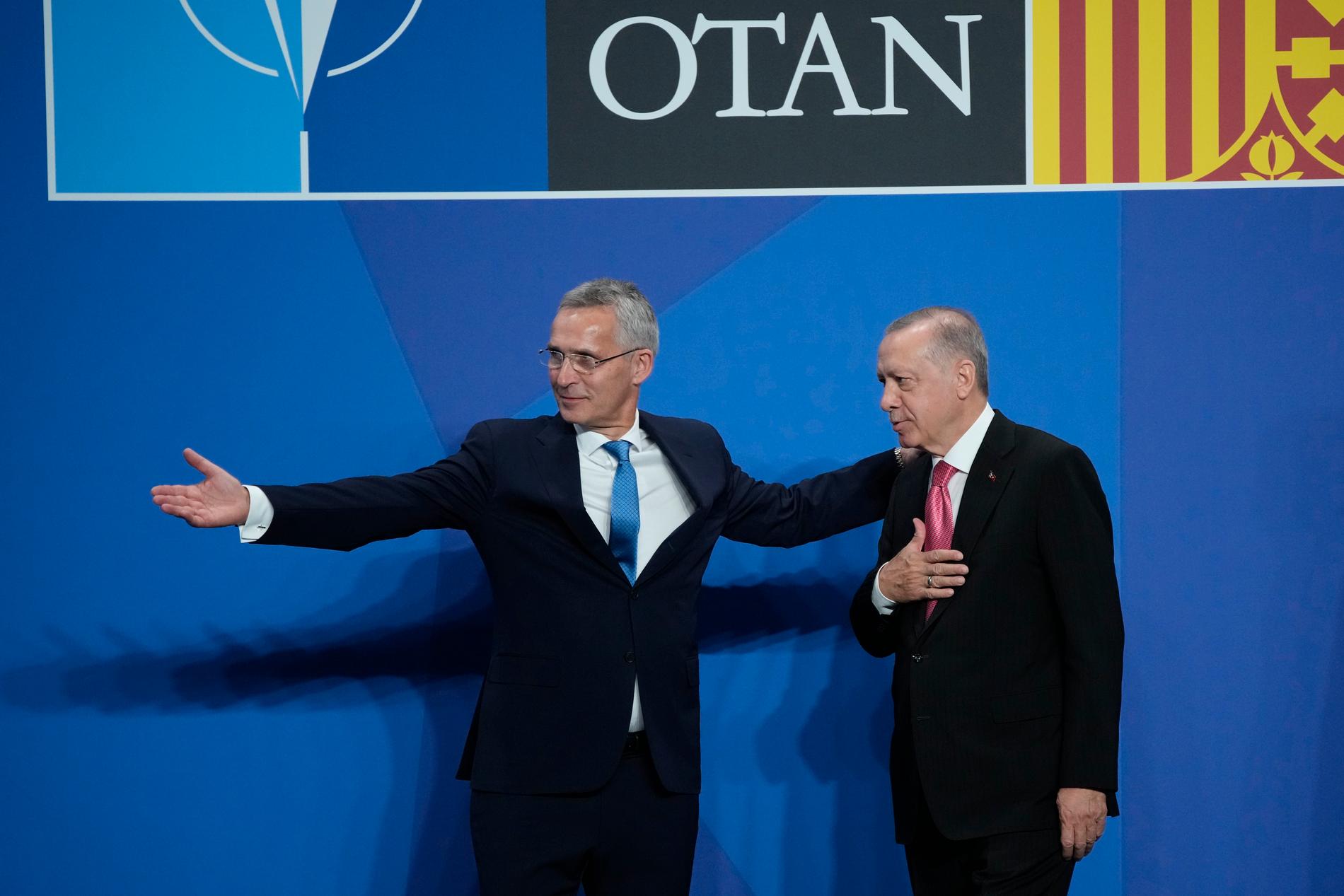 Natochefen Jens Stoltenberg och Turkiets president Recep Tayyip Erdogan.