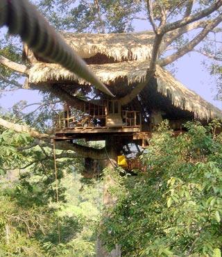För att övernatta i trädhusen i Bokeo Reserve i Laos måste man åka zip line. Middagen levereras sedan till trädet från en lägereld i närheten. En garanterat unik upplevelse. www.gibbonexperience.org