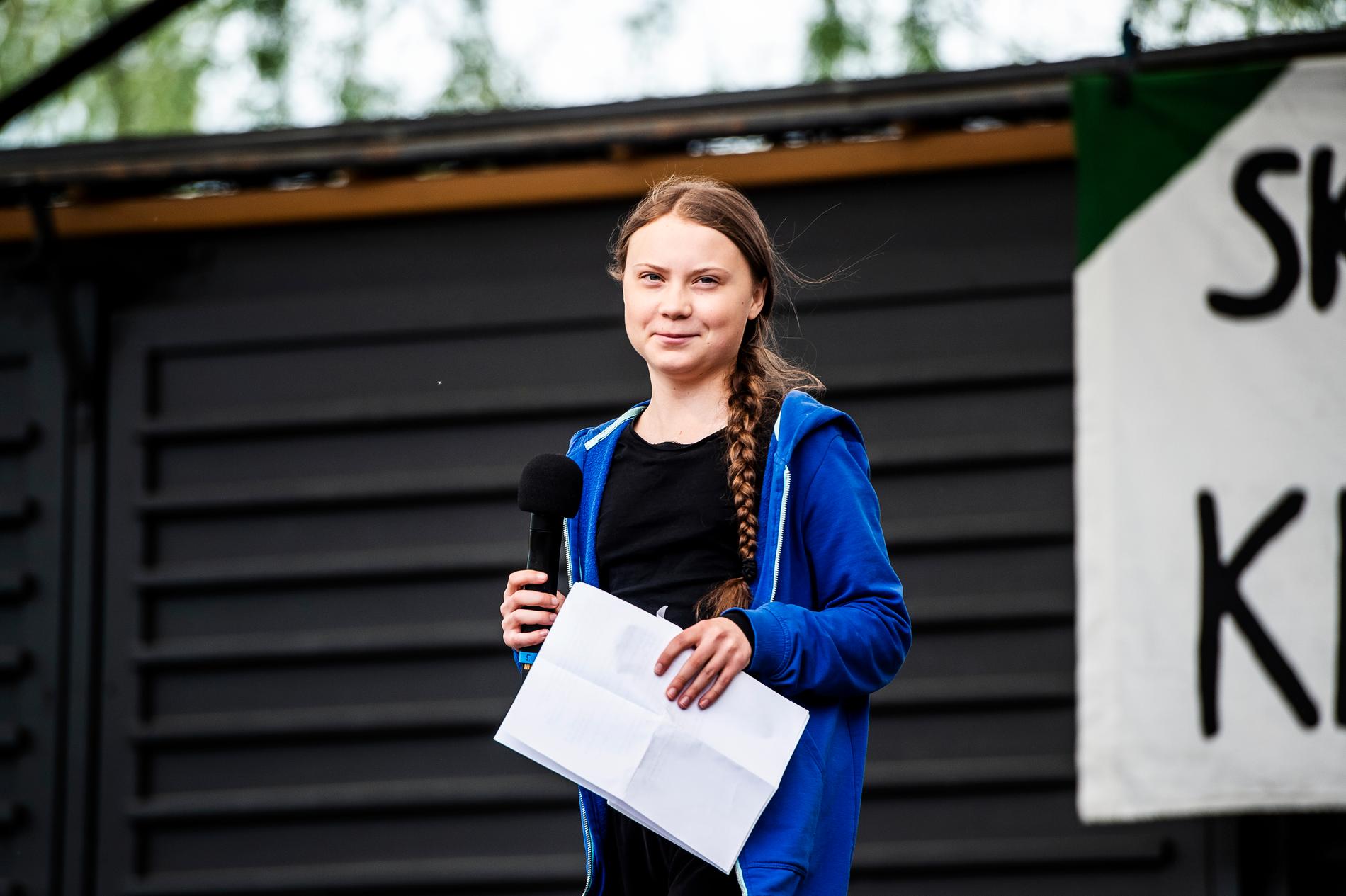 Ungdomsrörelsen Fridays For Future arrangerade i maj en global skolstrejk för klimatet med Greta Thunberg i spetsen.
