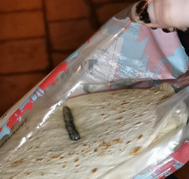 Gabriel Holmdahl, 17, gjorde denna obehagliga upptäckt när han skulle ta fram tortillabröd till middagen.