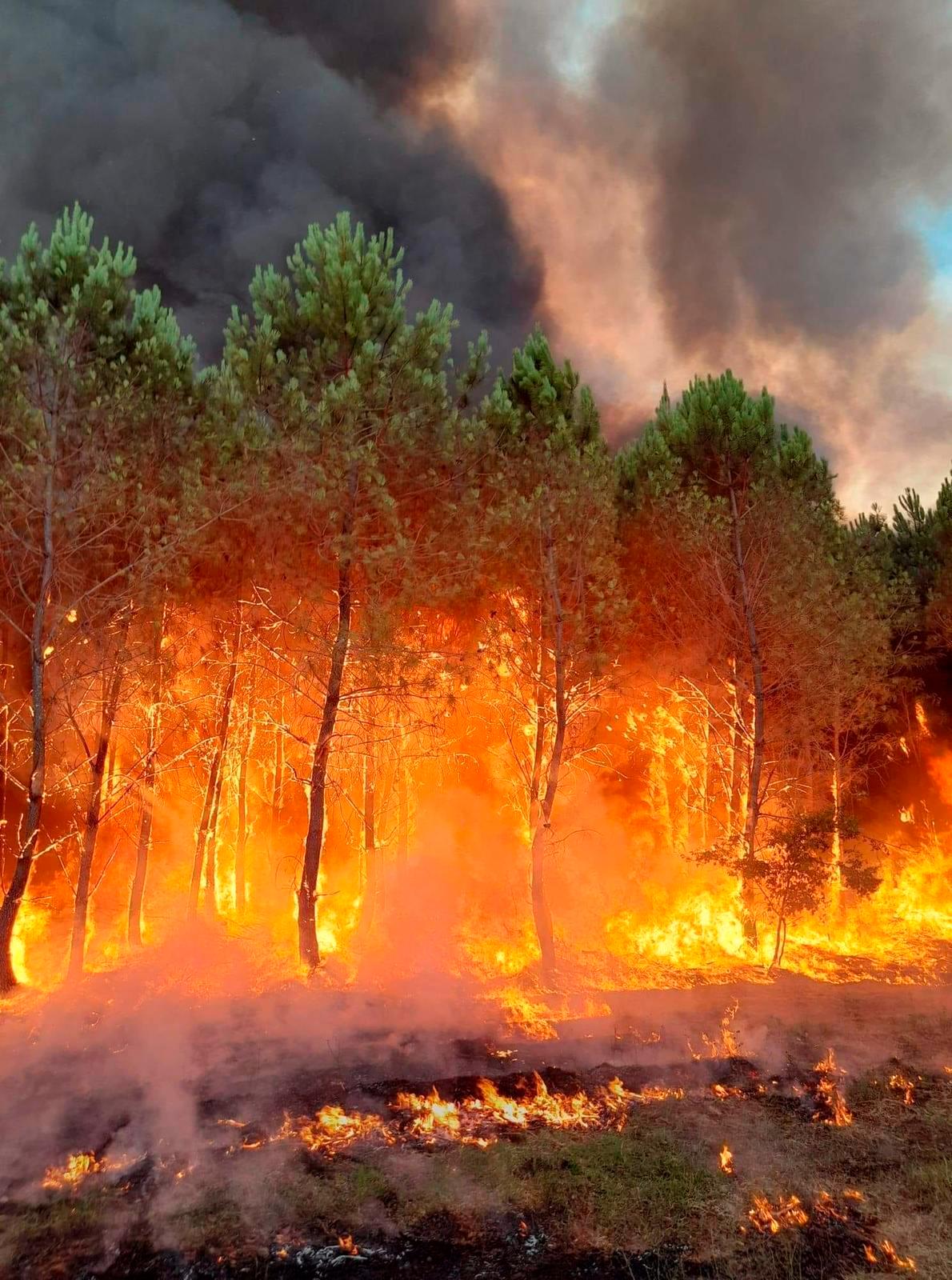 Skogsbränder i sydvästra Frankrike. 