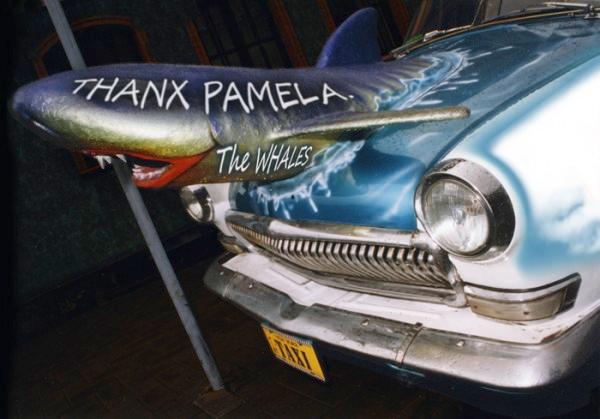 ”Tack, Pamela” står skrivet på hajhuvudet. Foto: Dartz