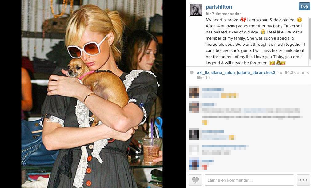 Paris Hilton om sin sorg efter vovven.