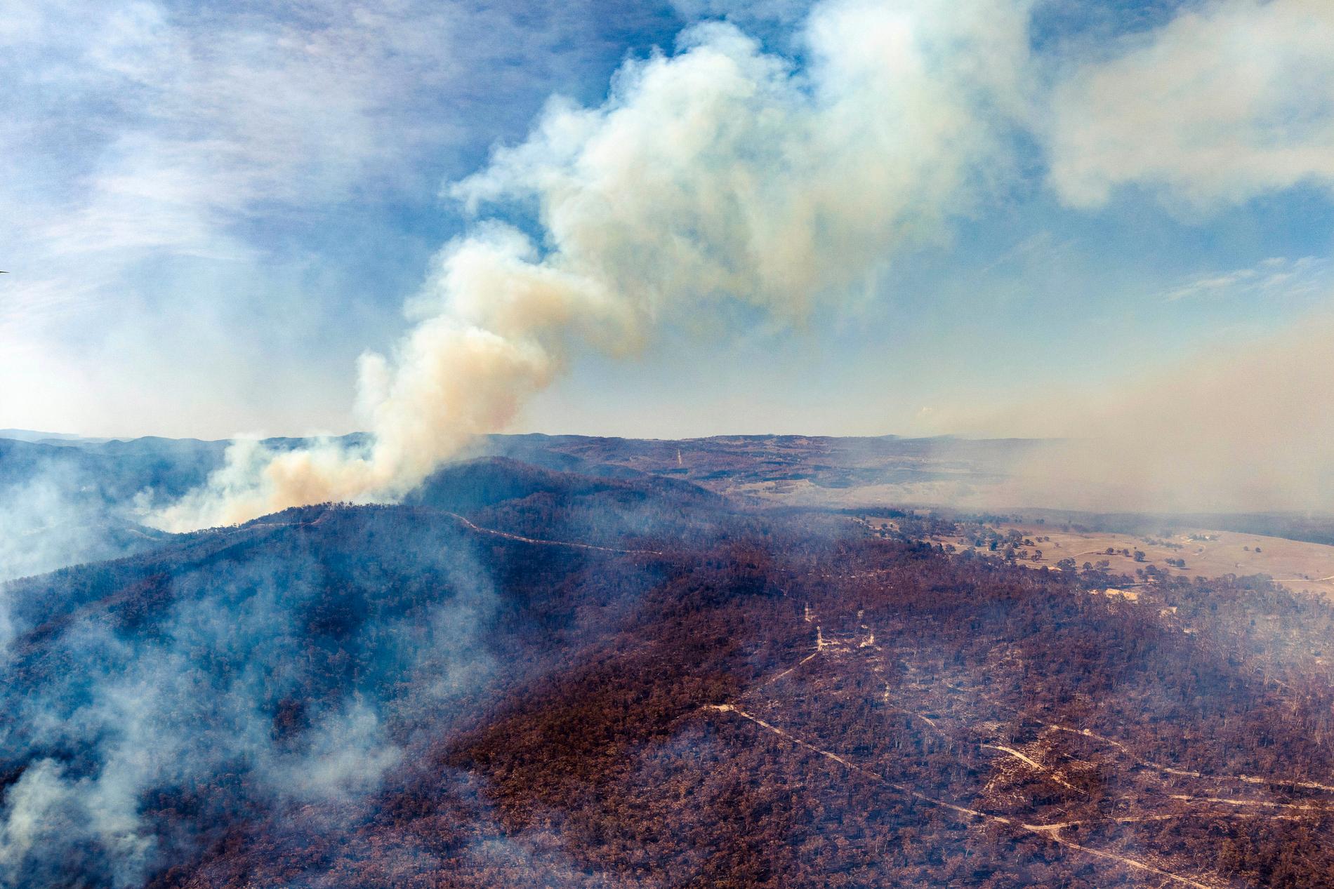 Skogsbränder i Australien tros ligga bakom.