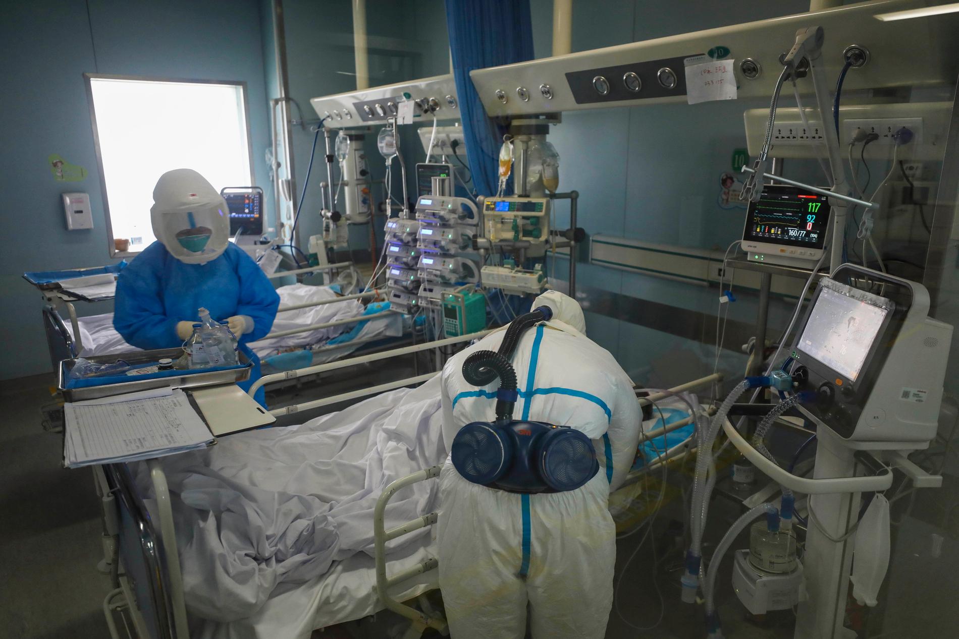 Sjukvårdare behandlar en virussmittad patient på Jinyintansjukhuset i Wuhan i Hubeiprovinsen i Kina.