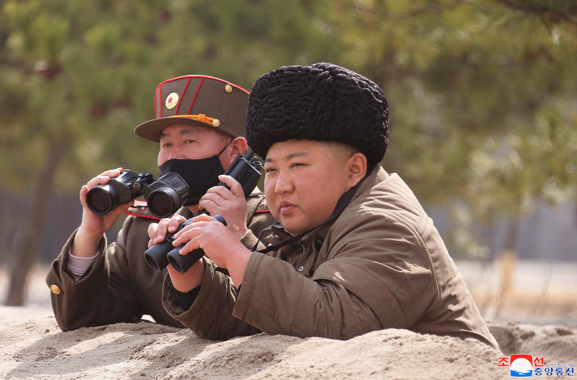 Nordkoreas diktator är mystiskt försvunnen.