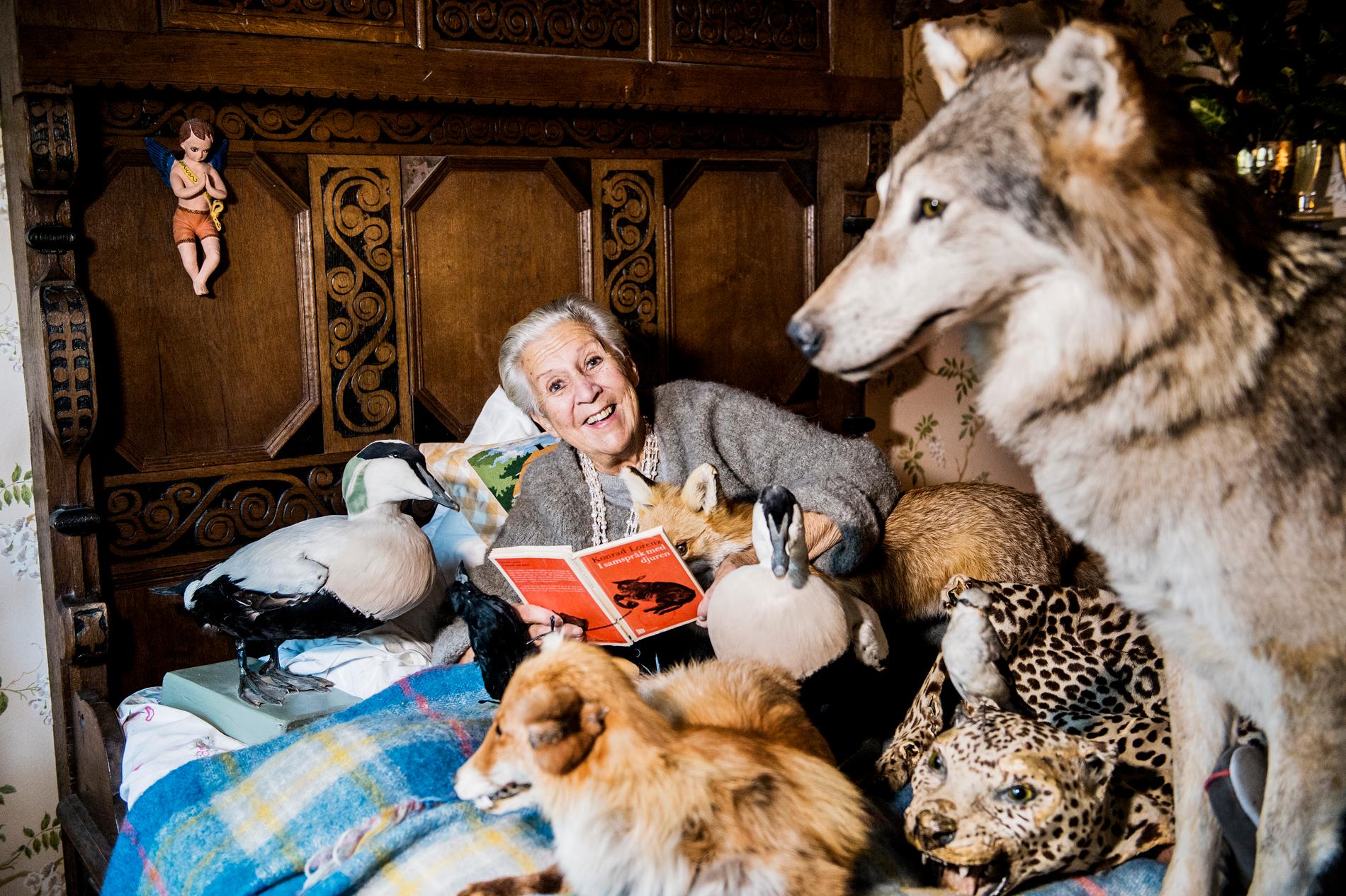 Kjerstin Dellert fotograferad inför en intervju i Aftonbladet i början av 2016. Hon berättade bland annat om sin samling av uppstoppade djur.