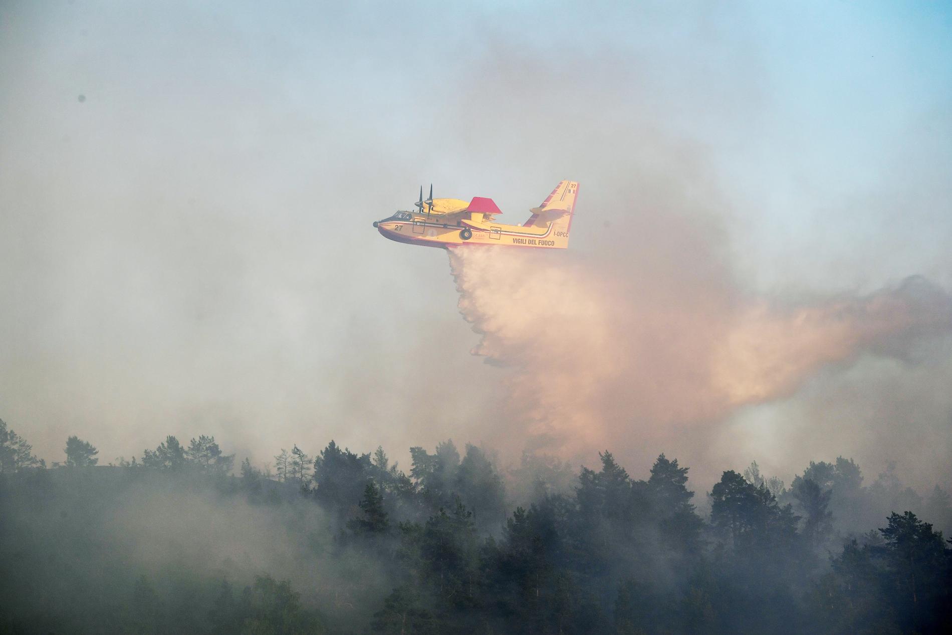 Ett brandflyg släpper vatten över en skogsbrand under 2018.
