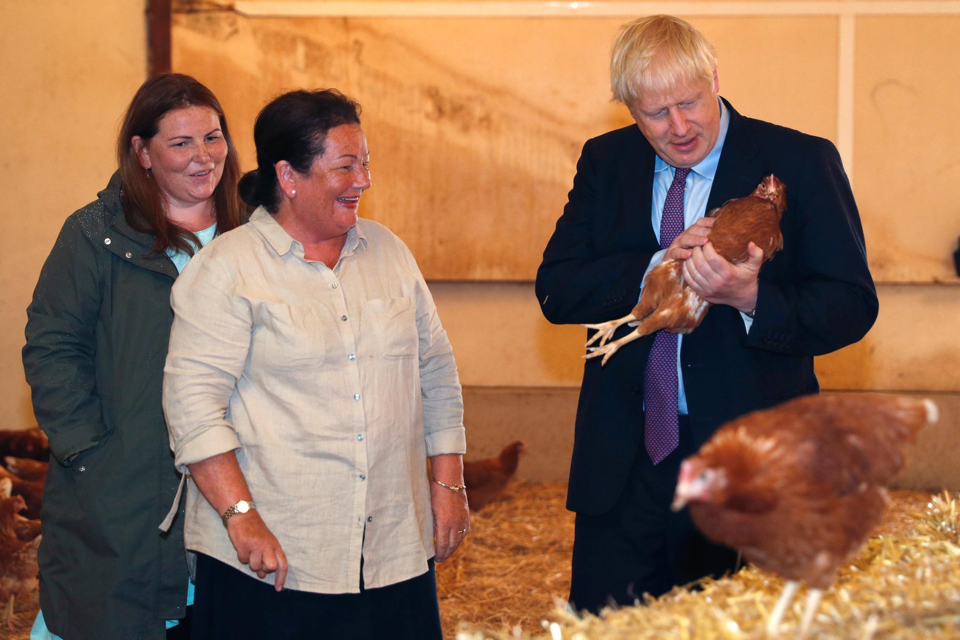 Boris Johnson, här i sällskap med lantbrukare från walesiska Newport, besöker en kycklingfarm för att berätta om sina planer för jordbrukssektorn efter brexit. Nu utlovar regeringen mer pengar för att dämpa konsekvenserna av ett avtalslöst utträde.