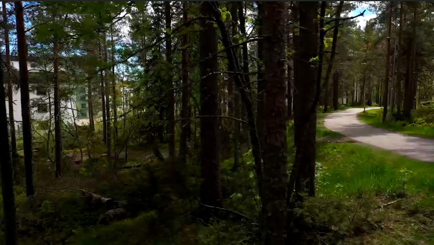 Amanda, 27, var ute med sin hund på en kvällspromenad i skogarna i Umeå. 