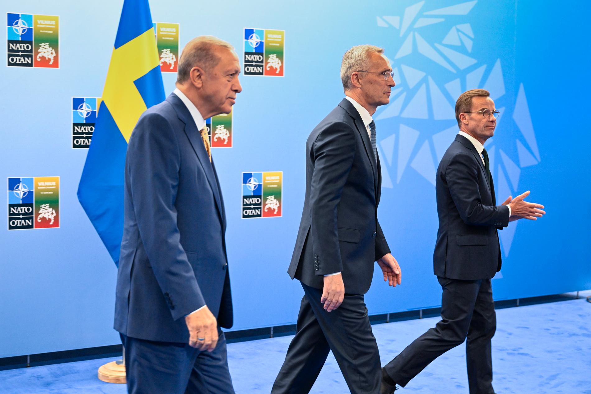 Turkiets president Recep Tayyip Erdogan och statsminister Ulf Kristersson tillsammans med Natos generalsekreterare Jens Stoltenberg (mitten) på Natotoppmötet i Vilnius. Relationerna mellan Turkiet och Sverige ska nu stärkas inom flera områden, däribland handel.