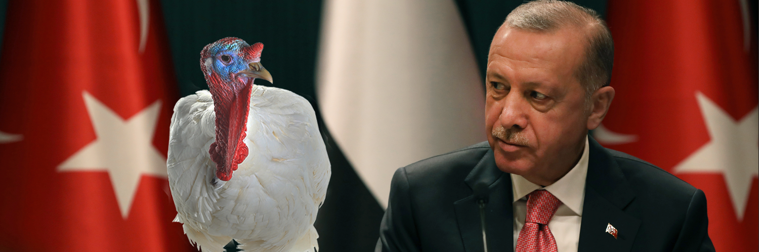Turkiets president har fått nog – vill inte kopplas ihop med kalkonerna.