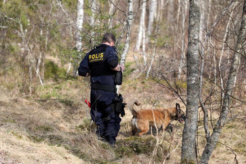 Tio hundpatruller, polisens helikopter och ett stort antal frivilliga deltog i sökinsatsen efter den försvunna 18-åringen.