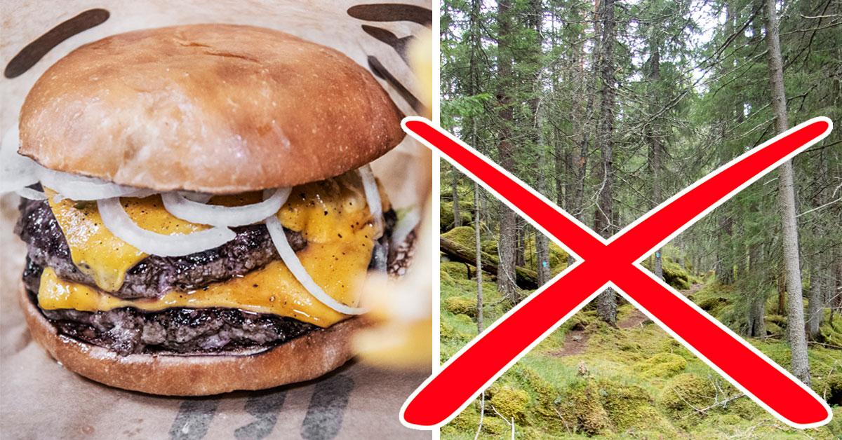 Nej till skogspromenad – men ja till att äta hamburgare.