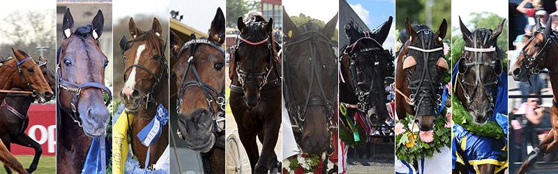 Dessa tio hästar gör upp i Oslo Grand Prix söndagen 11 juni