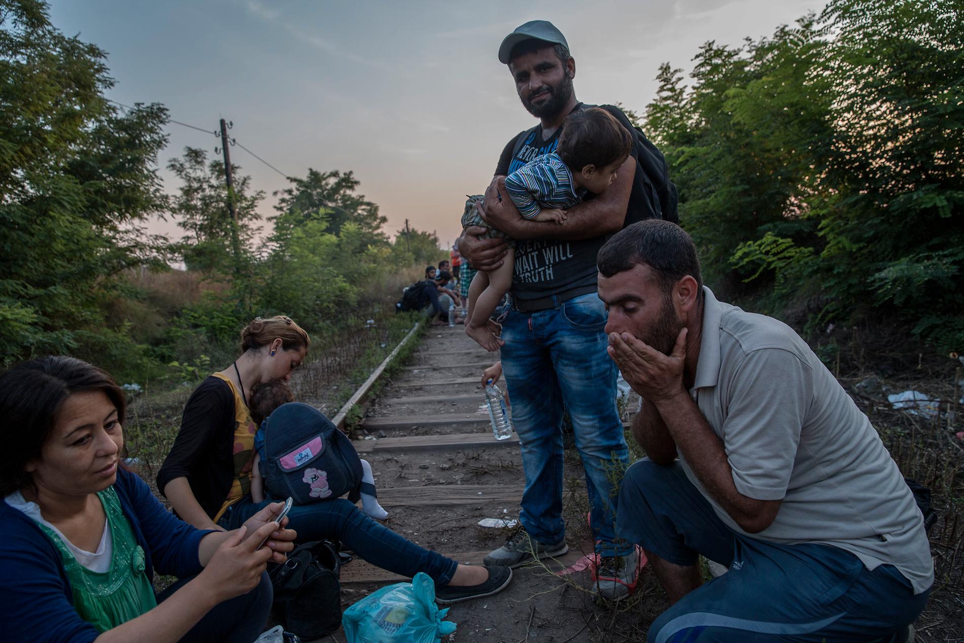 Familjen försöker korsa gränsen mellan Serbien och Ungern illegalt.