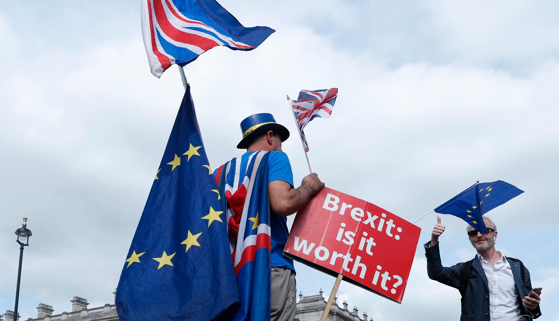 "Brexit – är det värt det?", frågar en anhängare av den sida som vill att Storbritannien ska stoppa utträdesprocessen ur EU. Tiden är nu knapp för London att nå en uppgörelse med Bryssel för att undvika att Storbritannien "kraschar" ut ur EU utan avtal.