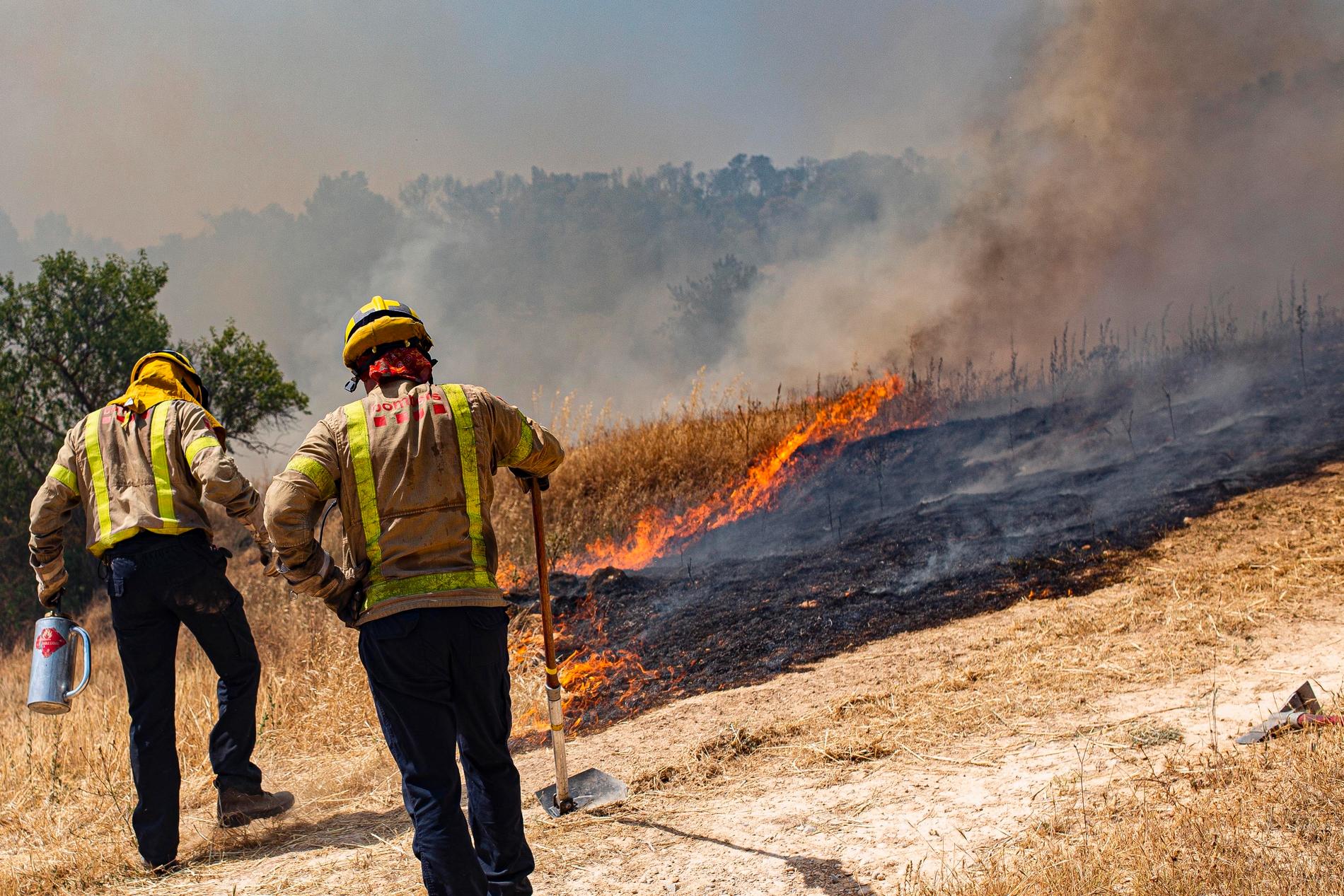 Brandmän försöker släcka en markbrand i kommunen La Palma d'Ebre i Katalonien.
