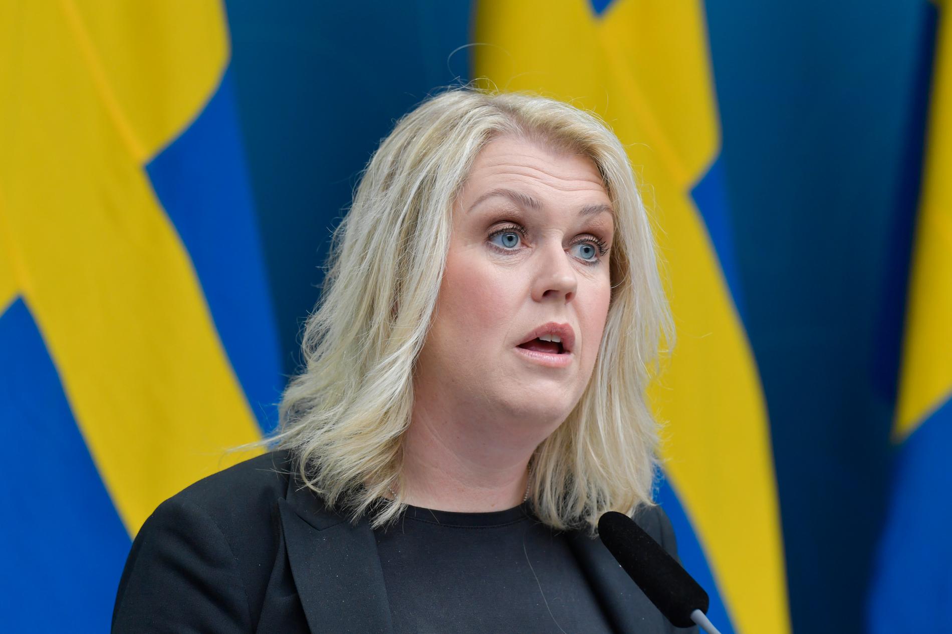 Det är oklart när den nya lagen kan klubbas, enligt socialminister Lena Hallengren (S).