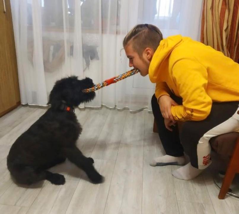 Nazar och familjens hund, riesenschnauzern Della, i hemmet i ukrainska Ivano-Frankivsk.