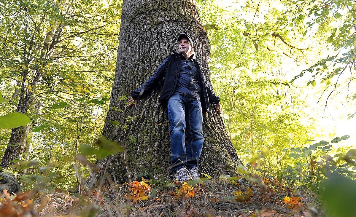 TRÄDKRAMARE När Jonas Paulmans barndom var som värst sökte han tröst ute i skogen. Hans senaste välgörenhetsinitiativ kallas för ”Barnens träd” och går ut på att skolor uppmärksammar barns rättigheter genom att plantera träd.