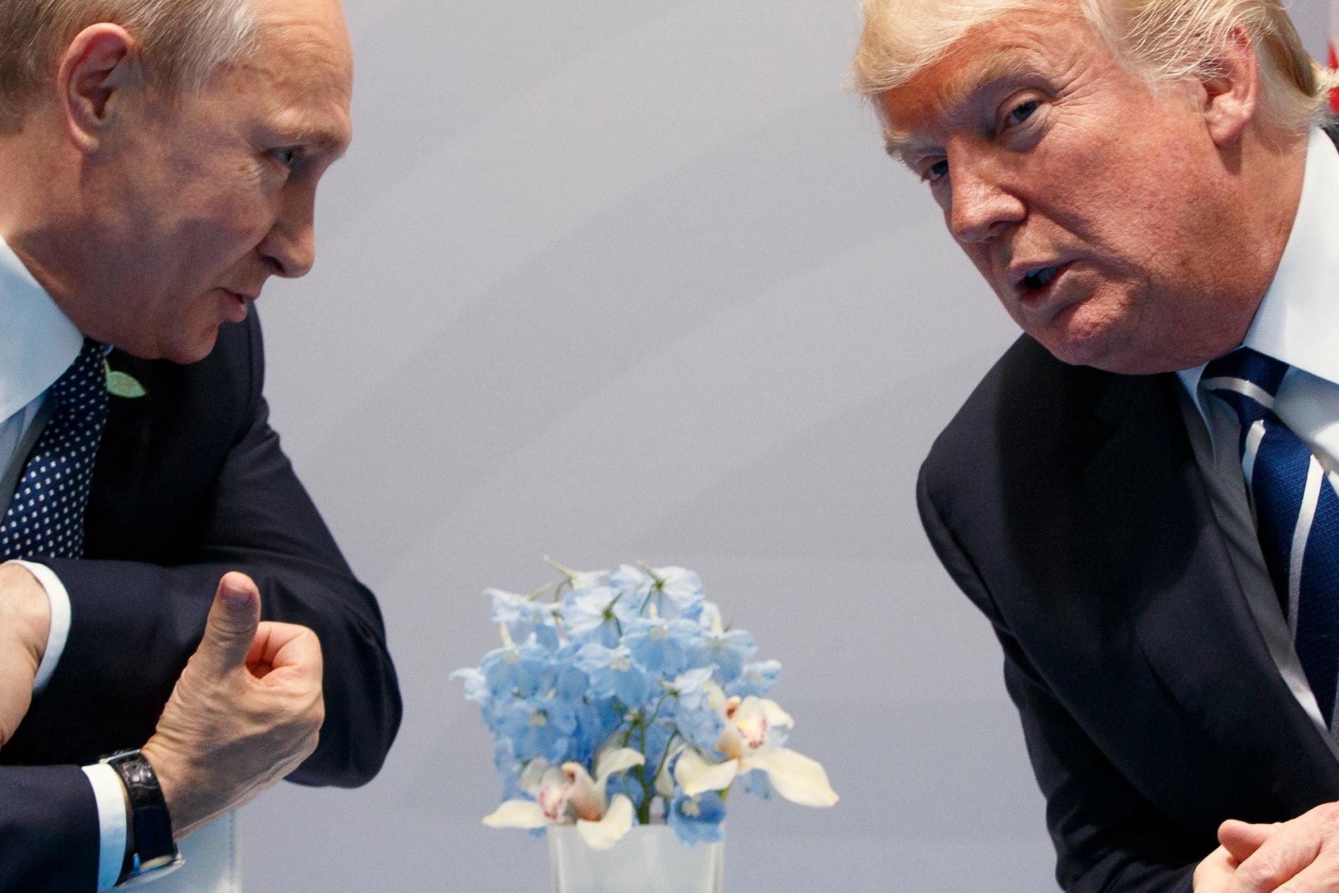 Rysslands president Vladimir Putin och USA:s president Donald Trump. Arkivbild.