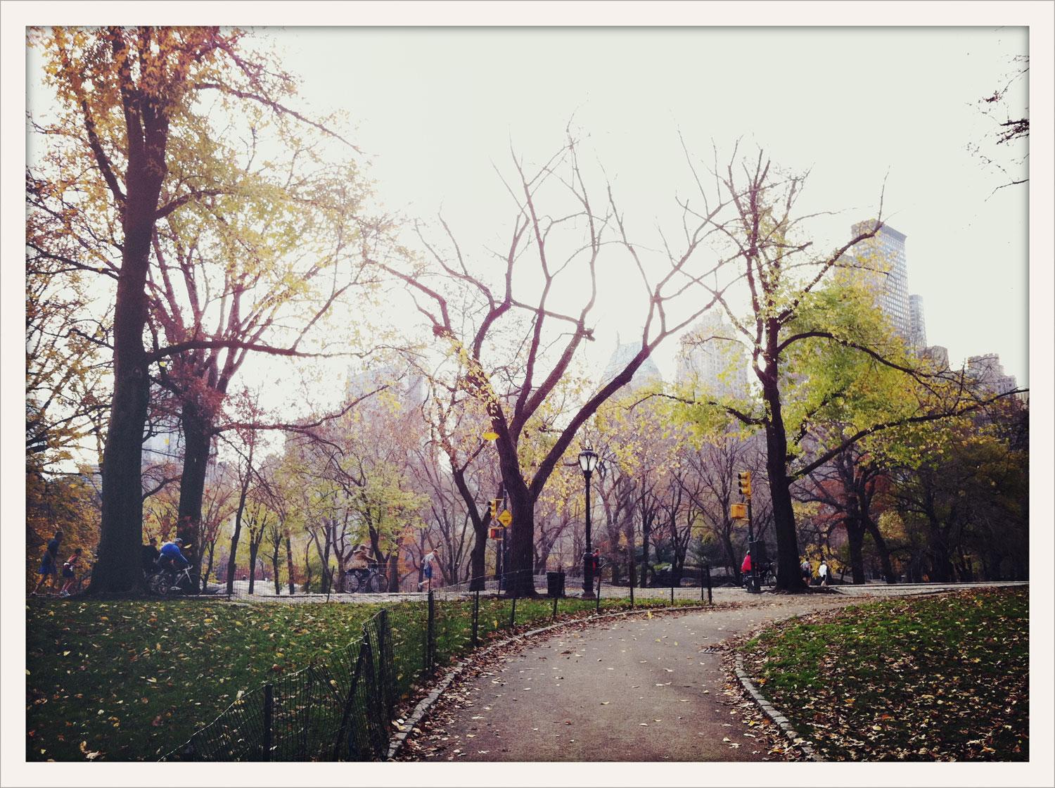 Central Park bjöd på en välbehövlig paus.
