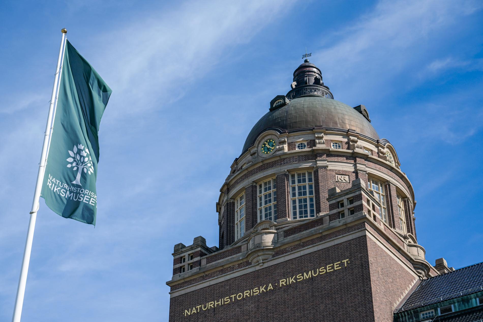 Naturhistoriska riksmuseet i Stockholm har stängt, men öppnar nu en tillfällig del. Arkivbild.