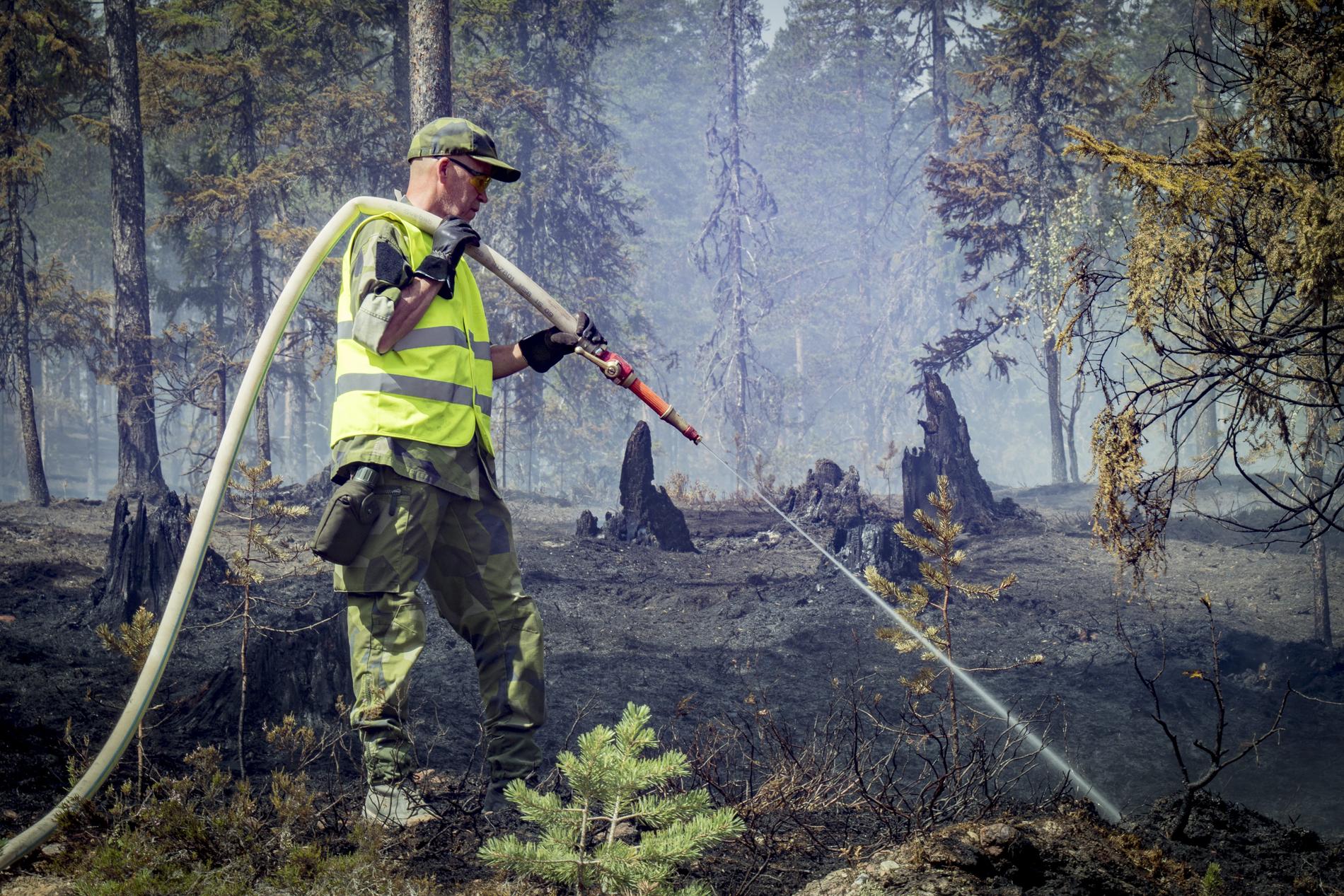 Brandmän kämpar mot branden i Trängslet, Älvdalen, 2018. 