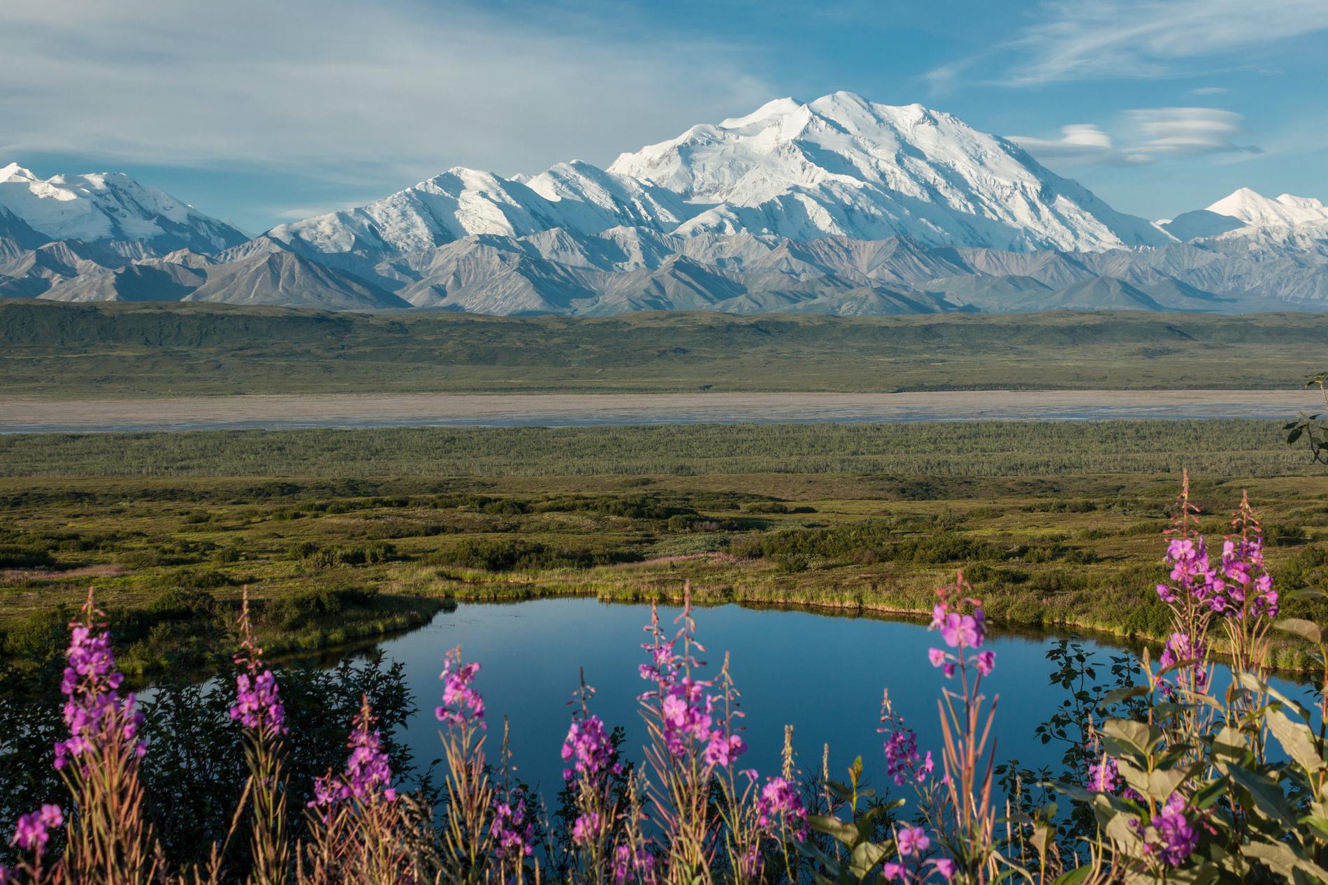 Into the Wild utspelar sig bland annat i Denali National Park i Alaska. 
