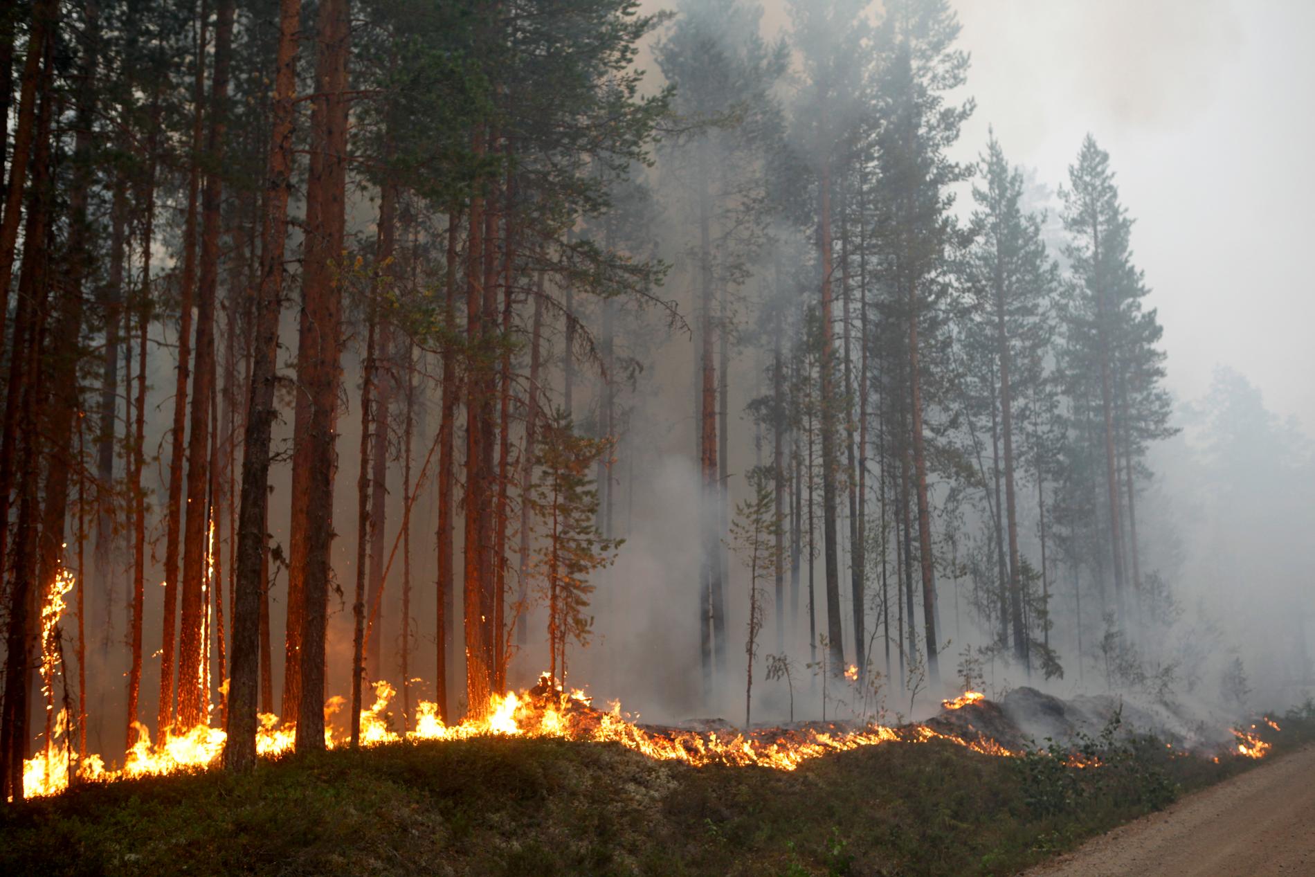 Skogsbranden i Kårböle strax utanför Ljusdal. 